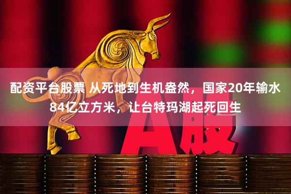 配资平台股票 从死地到生机盎然，国家20年输水84亿立方米，让台特玛湖起死回生
