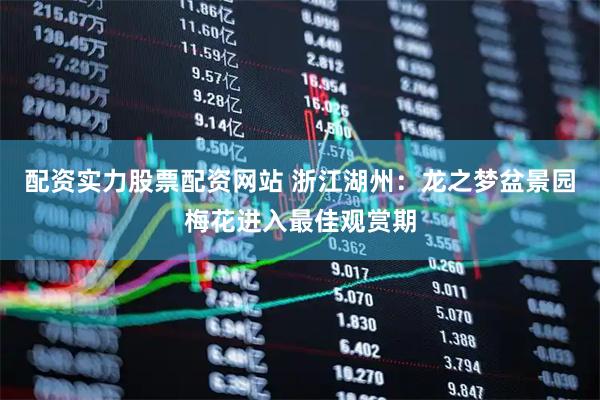 配资实力股票配资网站 浙江湖州：龙之梦盆景园梅花进入最佳观赏期